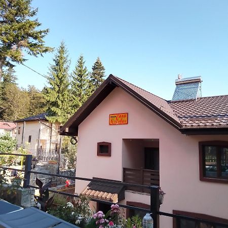 Casa Nicolas Buşteni Extérieur photo
