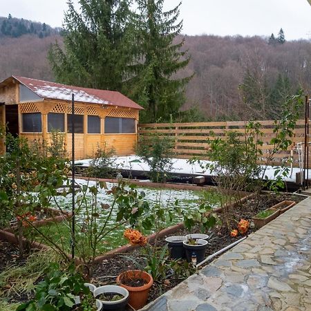 Casa Nicolas Buşteni Extérieur photo
