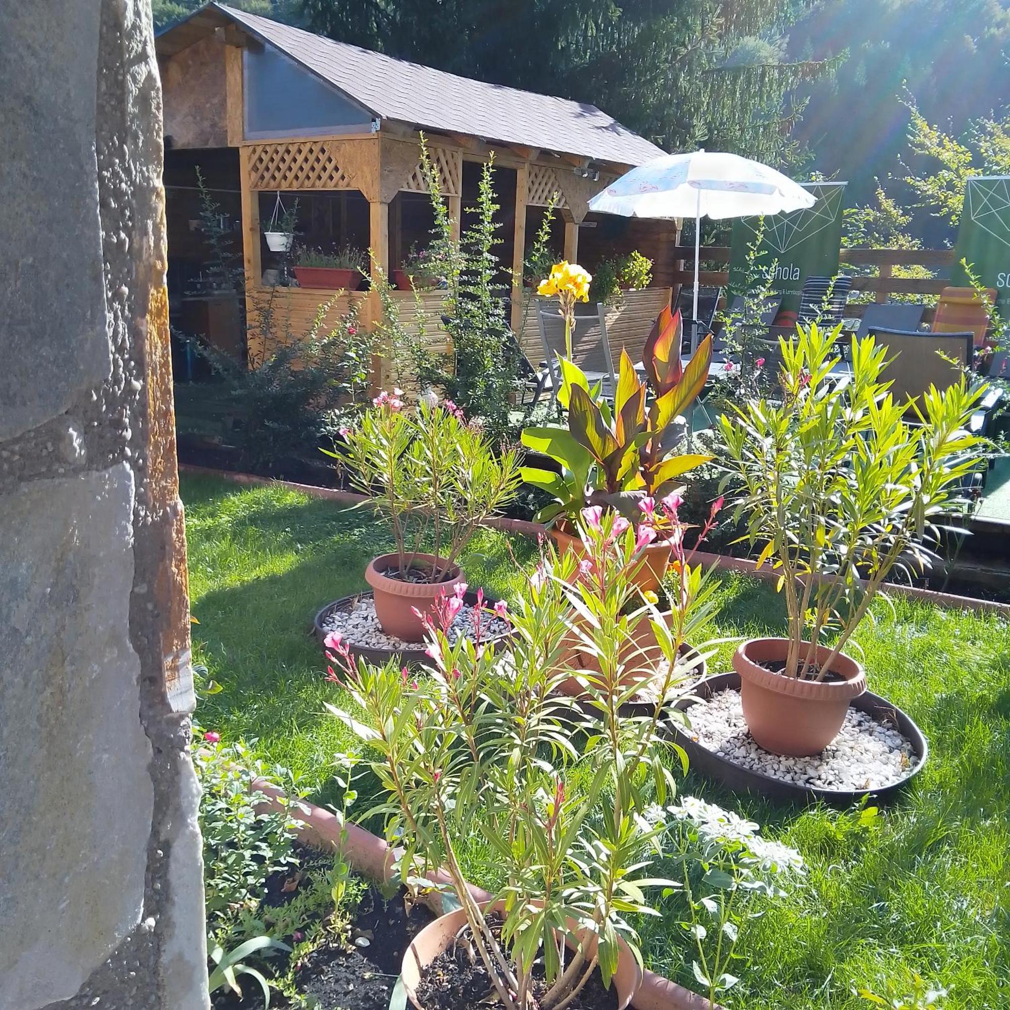 Casa Nicolas Buşteni Extérieur photo