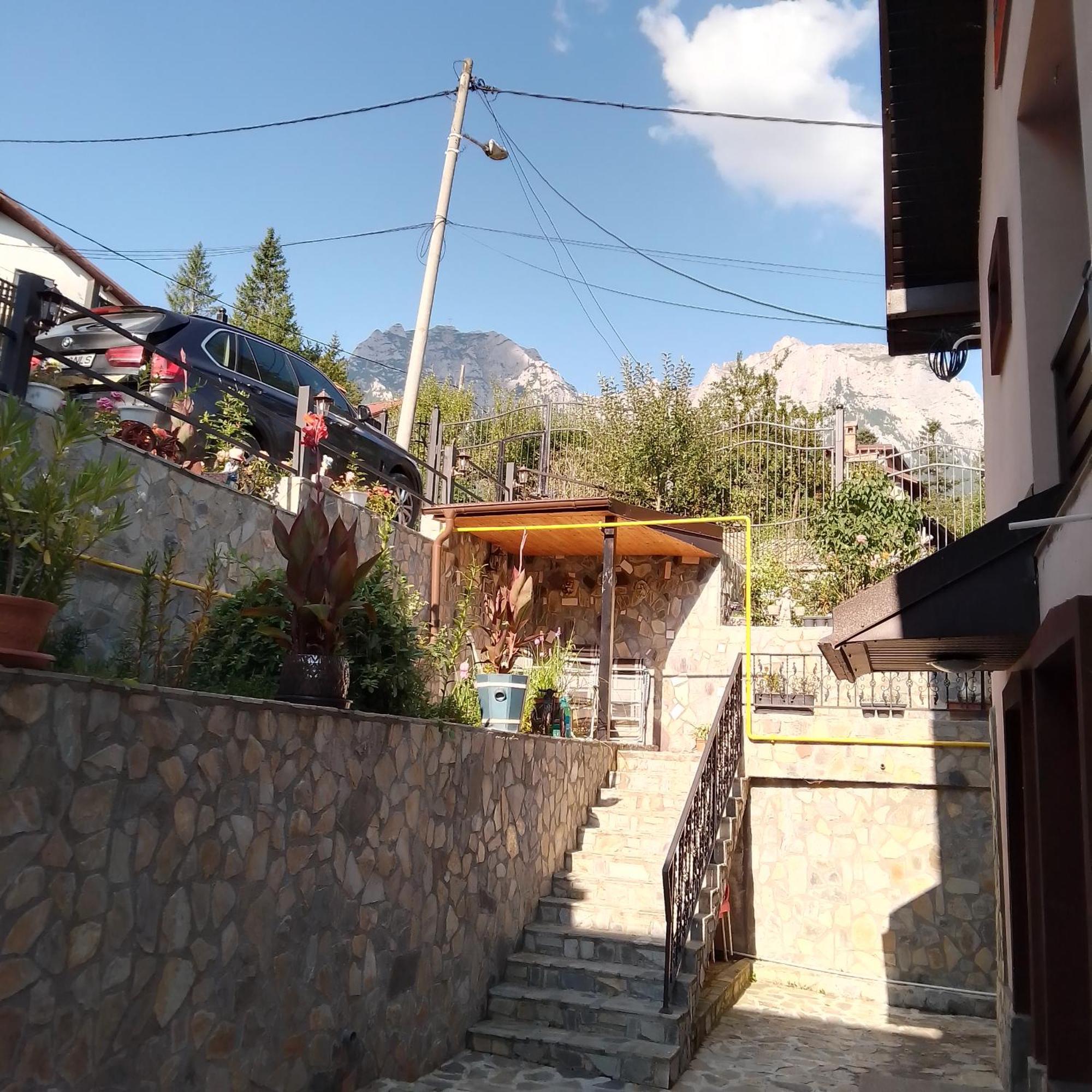 Casa Nicolas Buşteni Extérieur photo